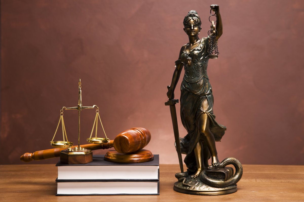 Правовой диалог в Школе правовых знаний «Фемида»